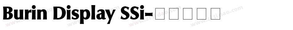 Burin Display SSi字体转换